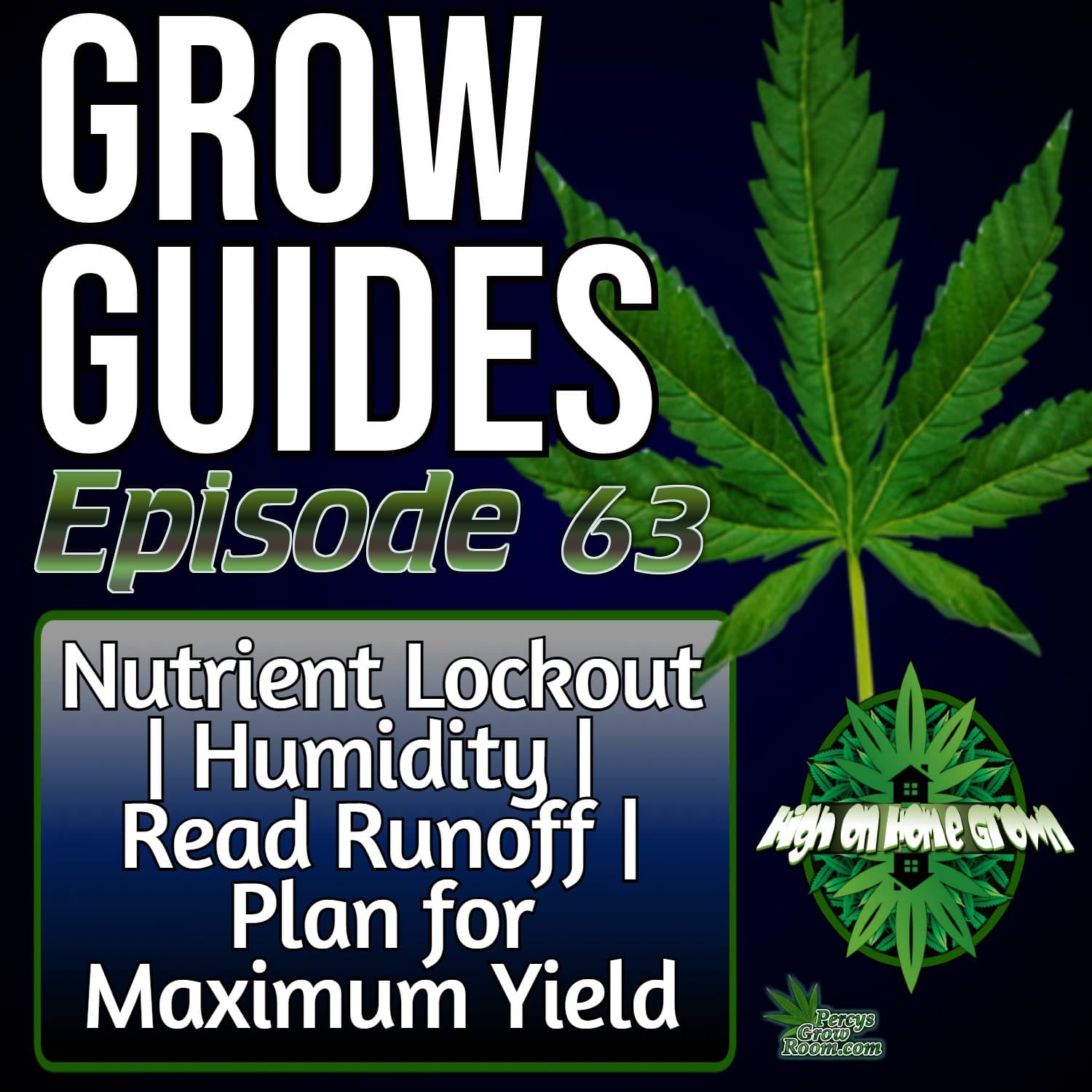 How to Avoid Nutrient Lockout | Keep Humidity Stable | Read Your Runoff | Plan for Maximum Yield | How to Grow Cannabis Episode 63