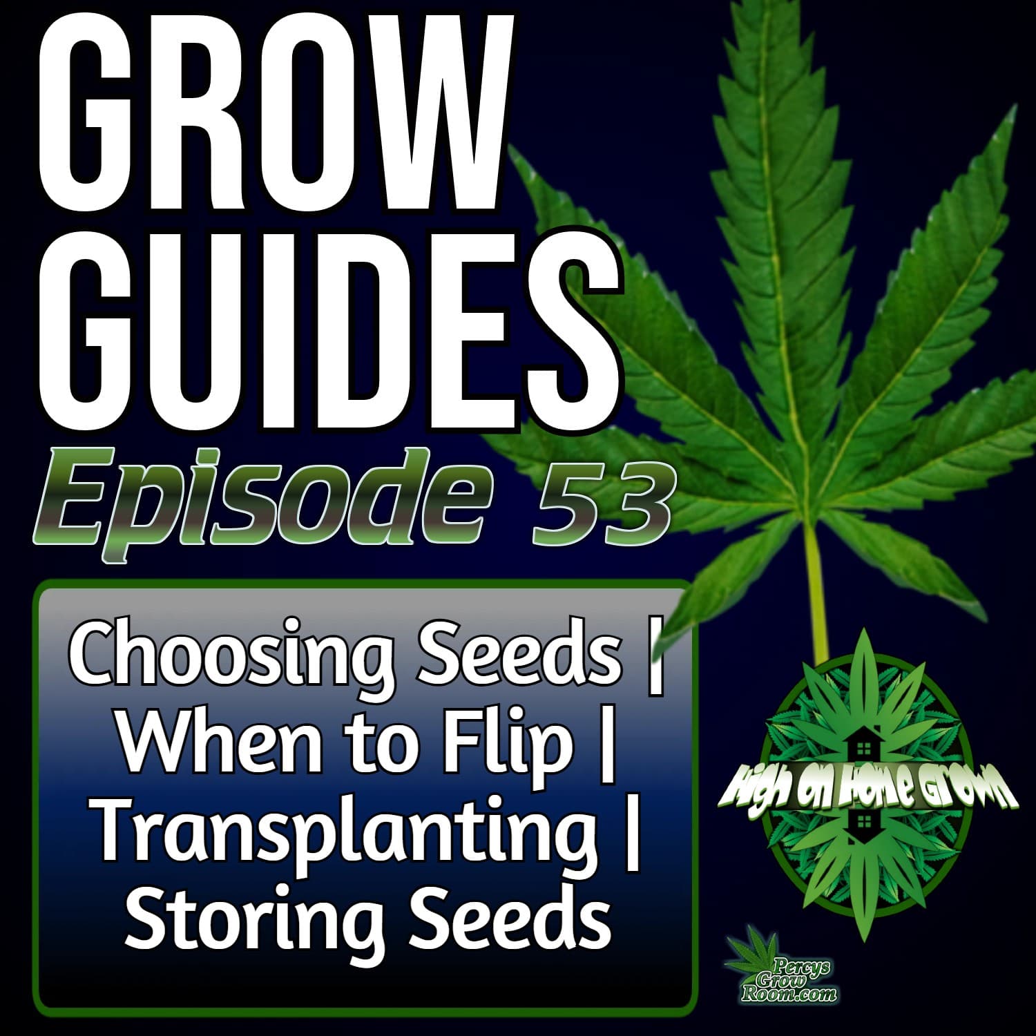 How to Grow Cannabis: How to Choose the Best Seeds | When to Flip to Flower | Transplanting Cannabis with Zero Stress! | Long Term Seed Storage| Grow Guides Ep. 53