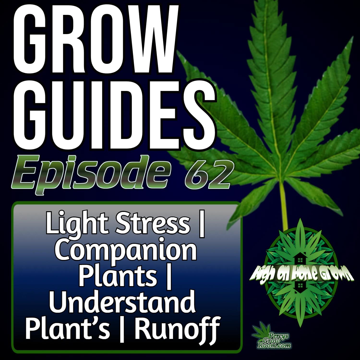 How to Spot Light Stress Early | Companion Planting for Cannabis | Reading Plant Signals | Mastering Runoff | + Listener Mail | Grow Guides Ep. 62