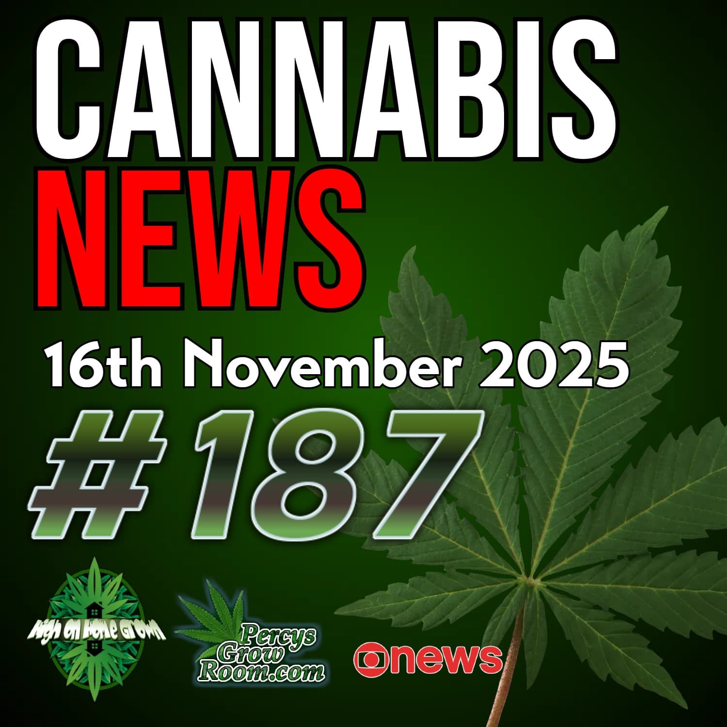 Big Changes to USA Cannabis Laws! | UK Medical Cannabis Users Suffer Stigma, But the Industry is Flourishing! | Canada Wants Reform | Cannabis News 187