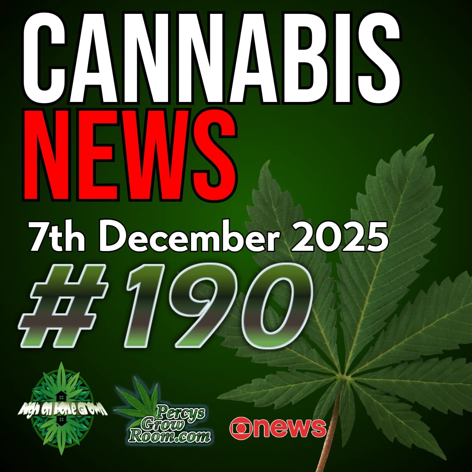 4,000 New Studies, UK Dosing Guide Drop, Europe Expansion Blast & CBD Calm for Aggressive Dogs | Cannabis News 190