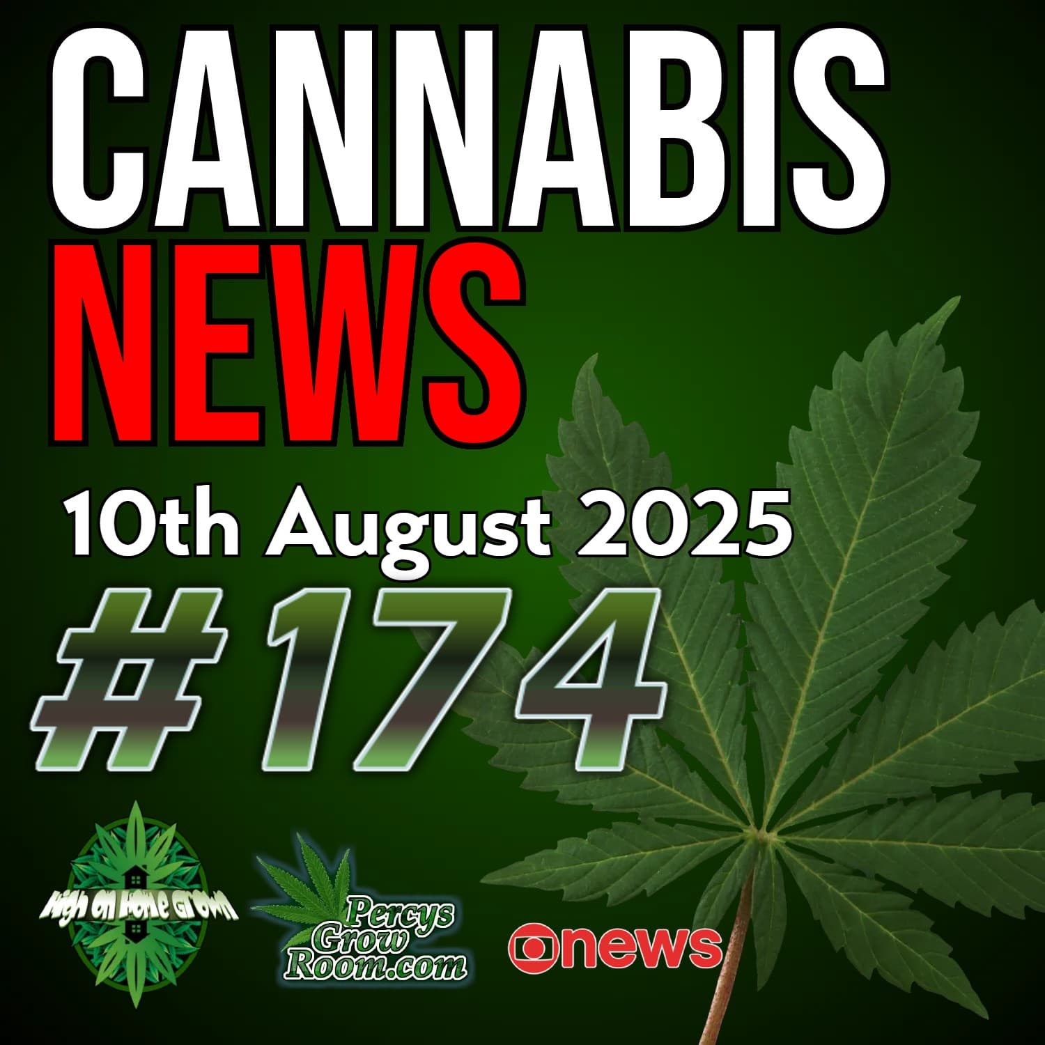 Brits Jailed in Zimbabwe | Cannabis & Psilocybin Risks | Oral Cancer Link | UK Prescribing Concerns | Trump Eyes Rescheduling