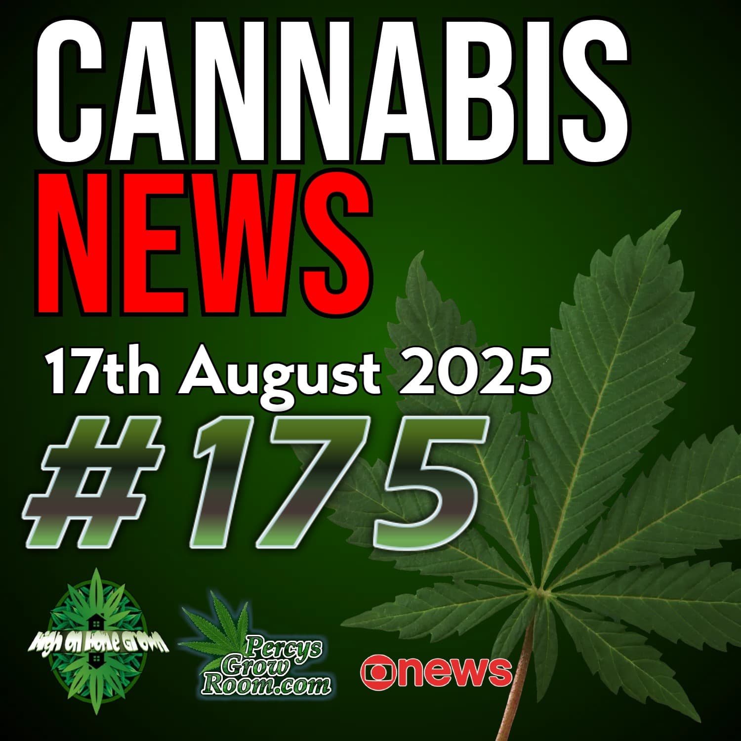 NHS Doctors Back Medical Cannabis | Guernsey Decriminalisation | Conservatives Push Against Legalisation | Teens & CUD Rehab | Cannabis Cuts Opioid Use | Trump’s Marijuana Policy | Cannabis News 175