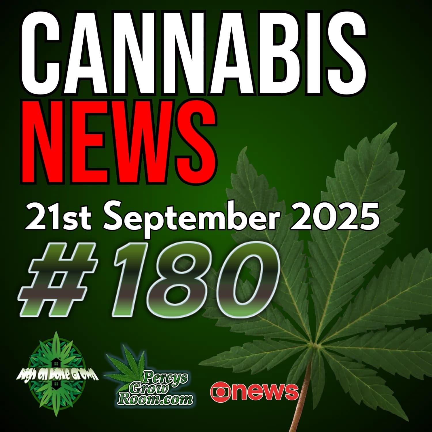 UK Medical Cannabis Could Boost Economy by £13 Billion! | Pre-Rolls Overtake Flower as Users Favourite Purchase | Cannabis, Asthma & Diabetes Risks | Global Study Links | Cannabis News Ep 180