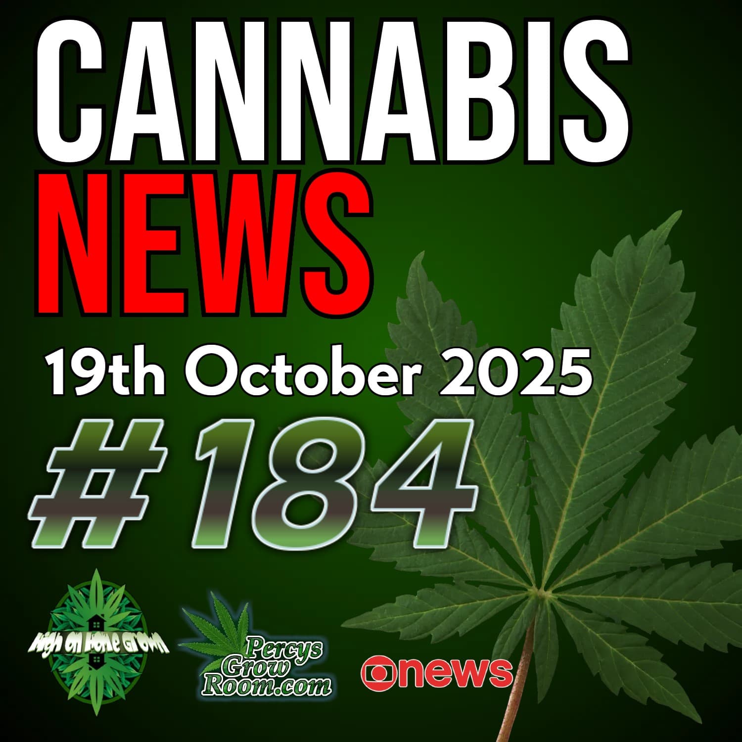Trump Moves Toward Easing Cannabis Restrictions | DNA and Weed Use Linked in New Study | Cannabis Drinks Become the Next Big Thing | Medical Cannabis Advocates Make Their Voices Heard in Europe