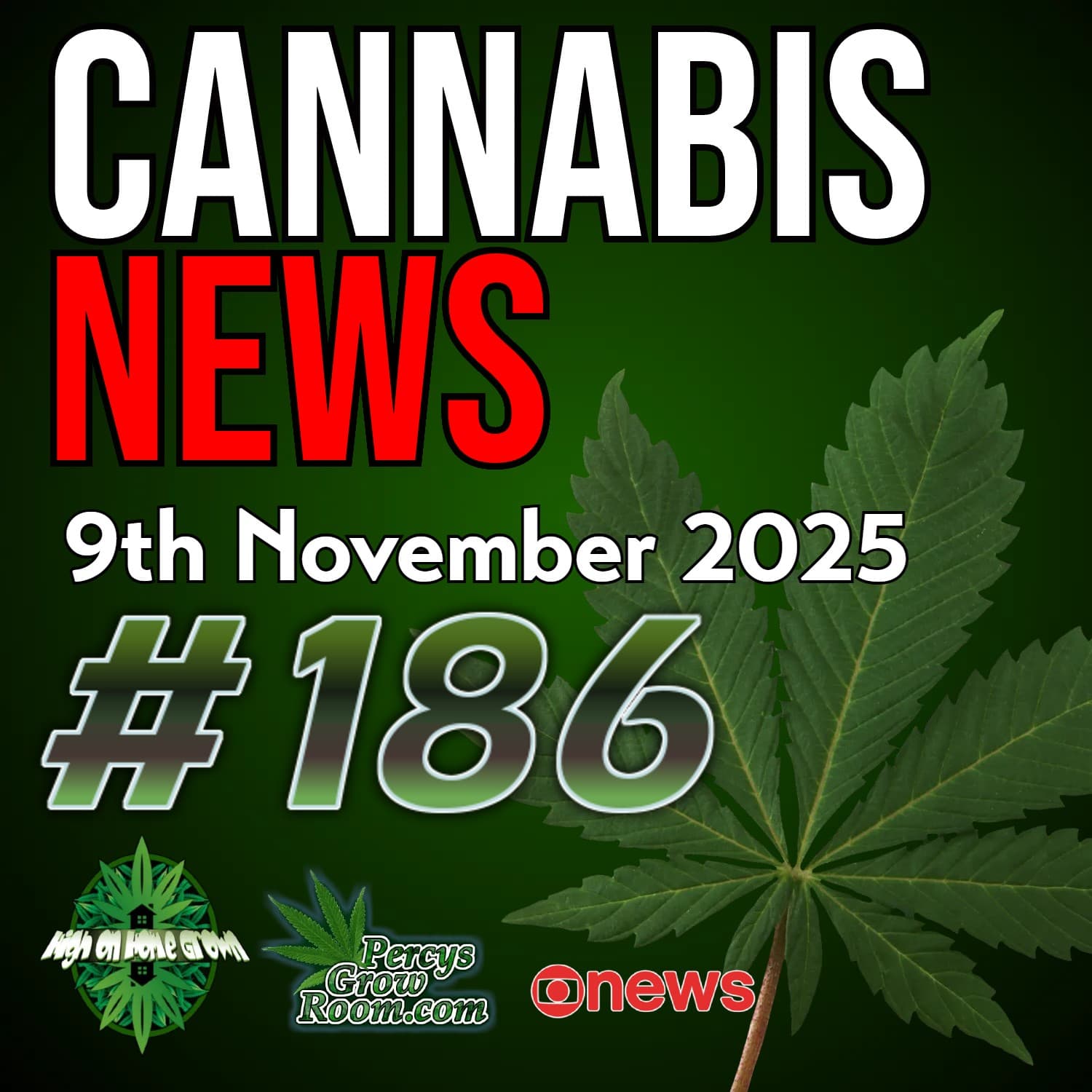 Medical Cannabis Gave Me My Life Back, says 72 Year Old Man | £5 Billion UK Industry Potential | Cannabis Drinks Improve Health | Psychedelics Legalization on the Horizon | Cannabis News #186