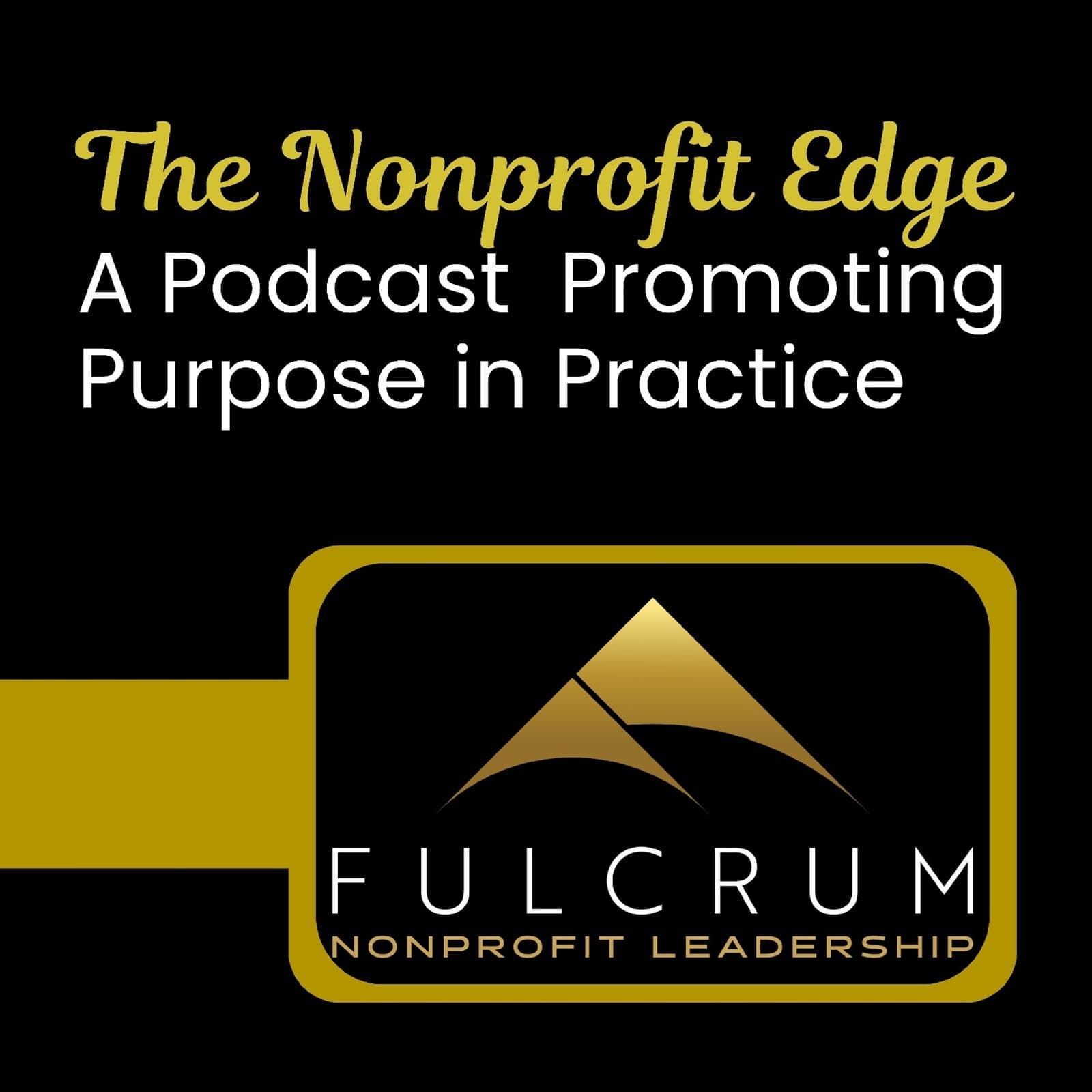 The Nonprofit Edge: A Conversation with Rebecca Hall - Episode 15