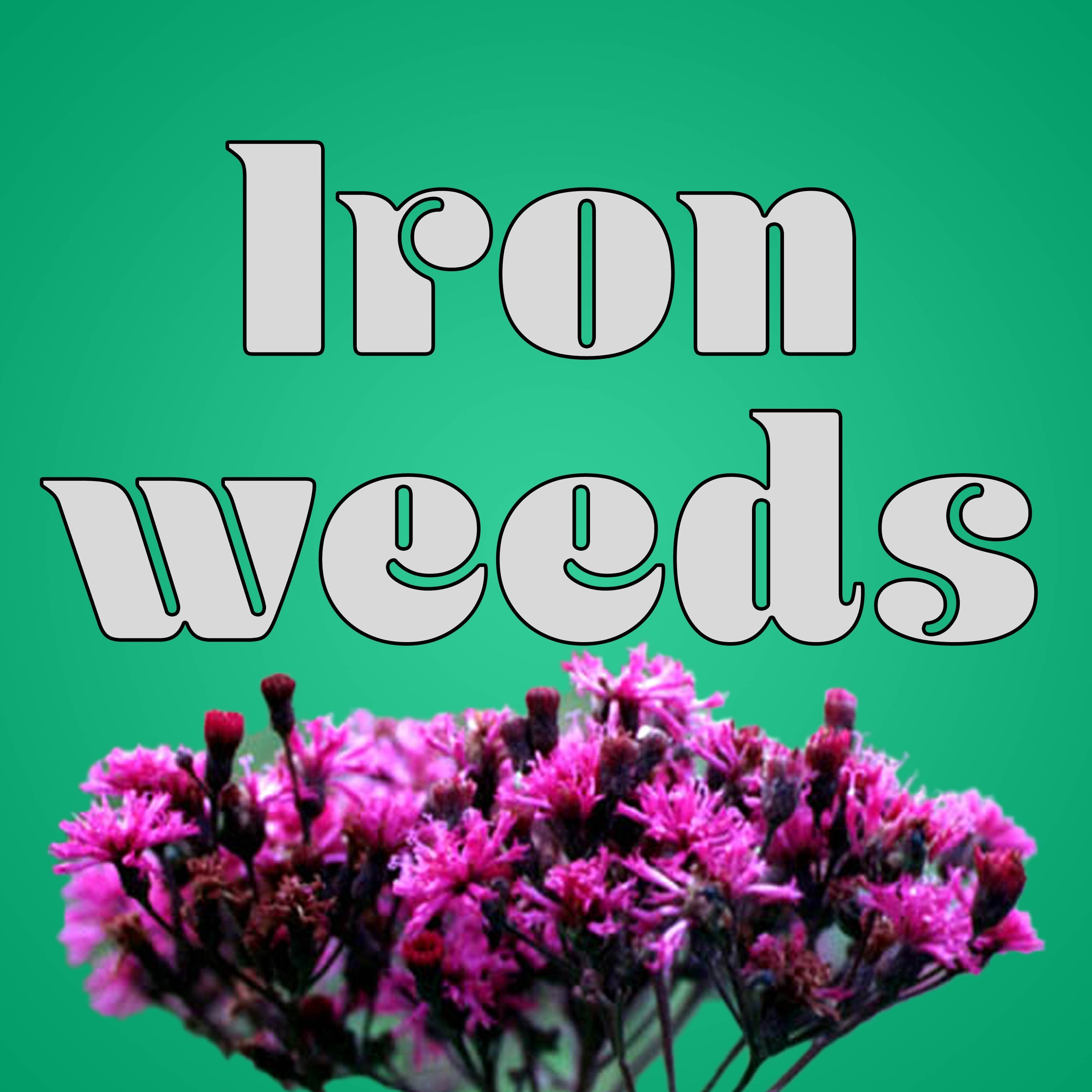 283 - Heartbreak and Boiled Beef