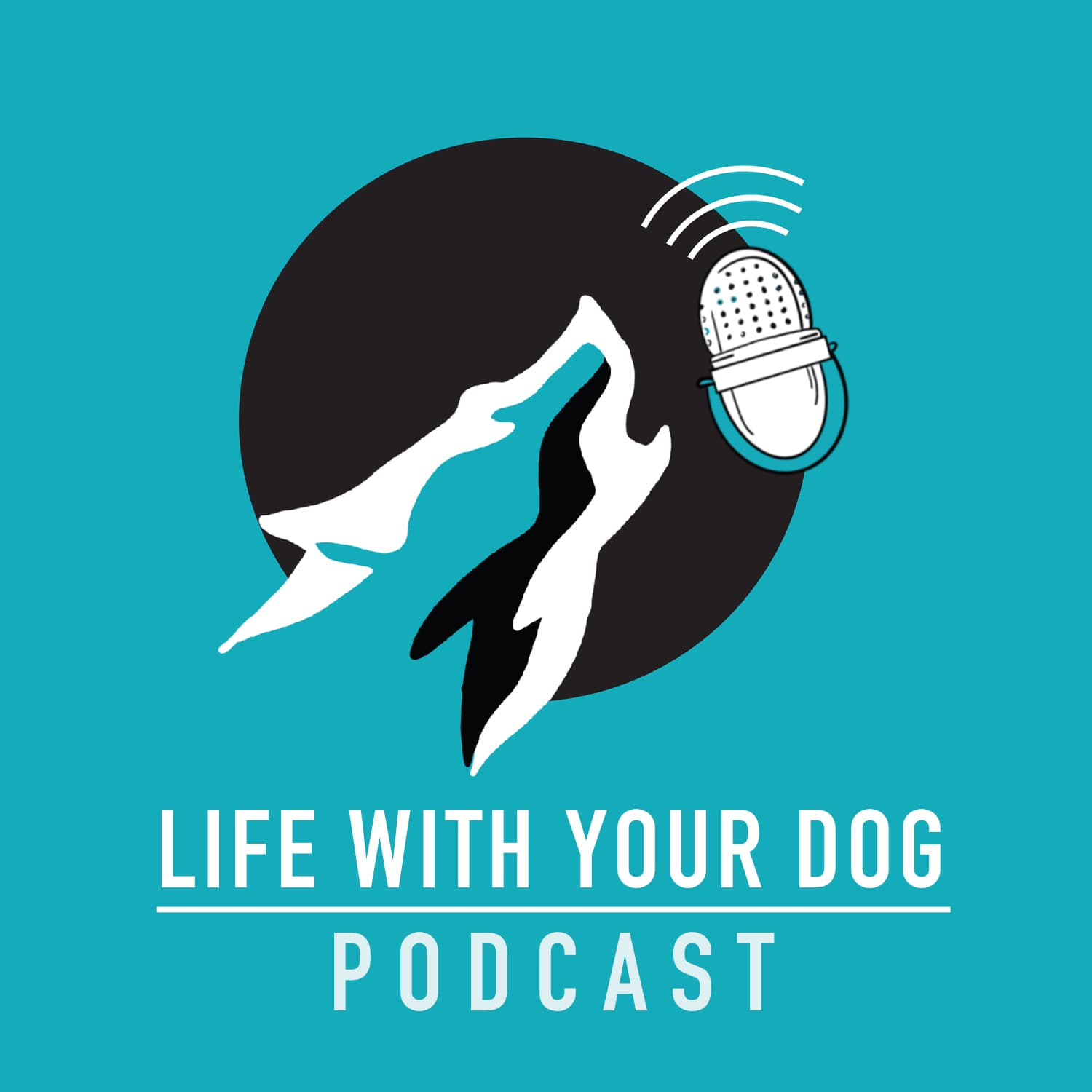 Ep266 - The "Mutt Nut" Simon Moody