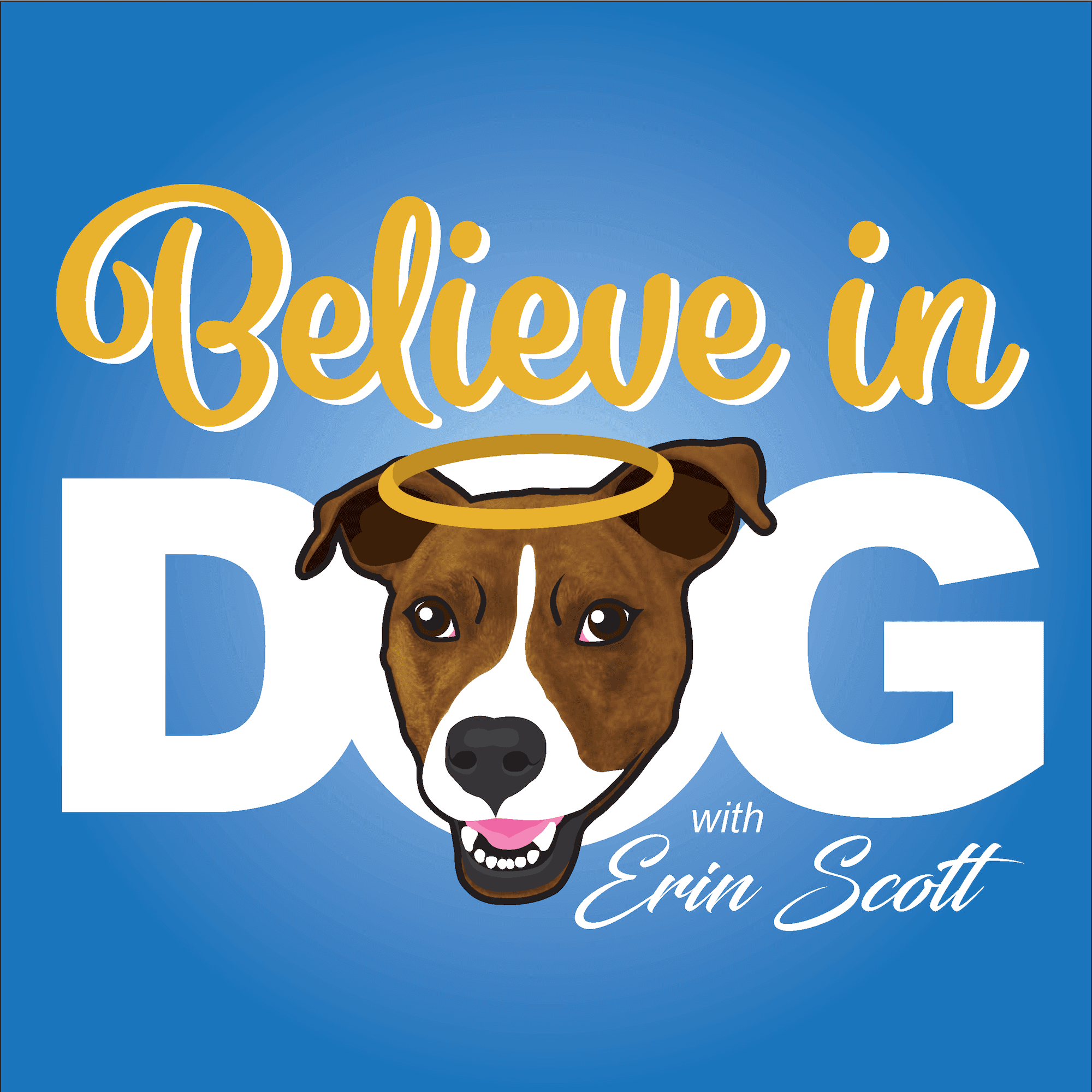 Help Your Dog Feel Safe with Andrew Hale’s Dog-Centered Care