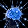 Minds, Science and Metaphysics