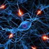 The Mental Universe Debate