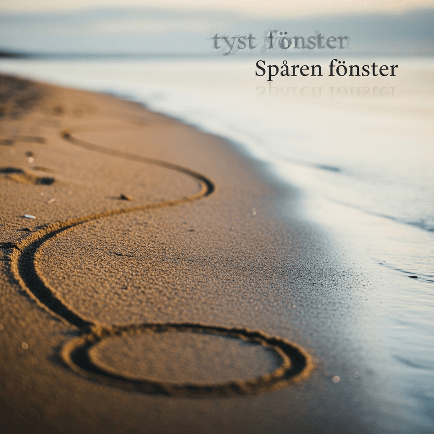 Spåren i sanden