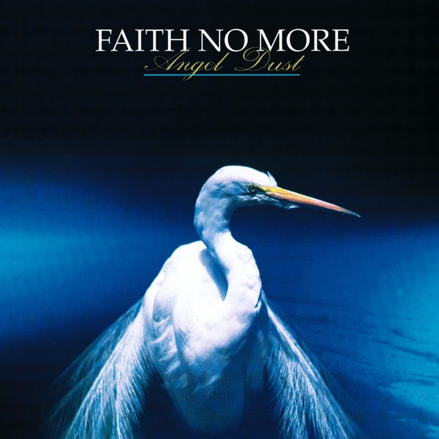 RIFF040 - Faith No More - Angel Dust