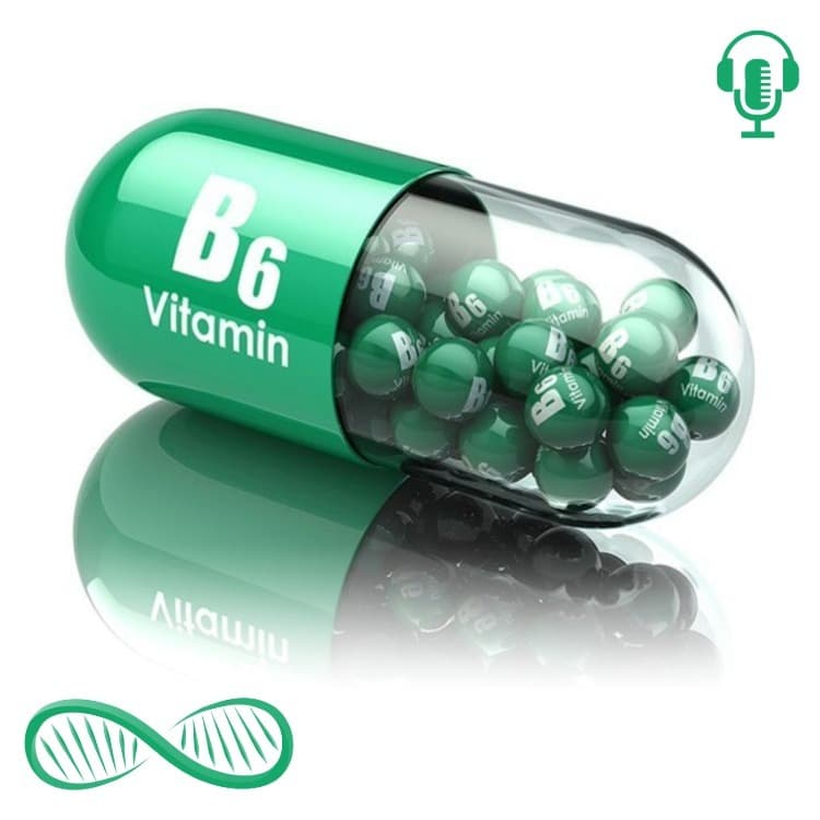 Vitamin B6 as a Nootropic: A Building Block of Key Neurotransmitters