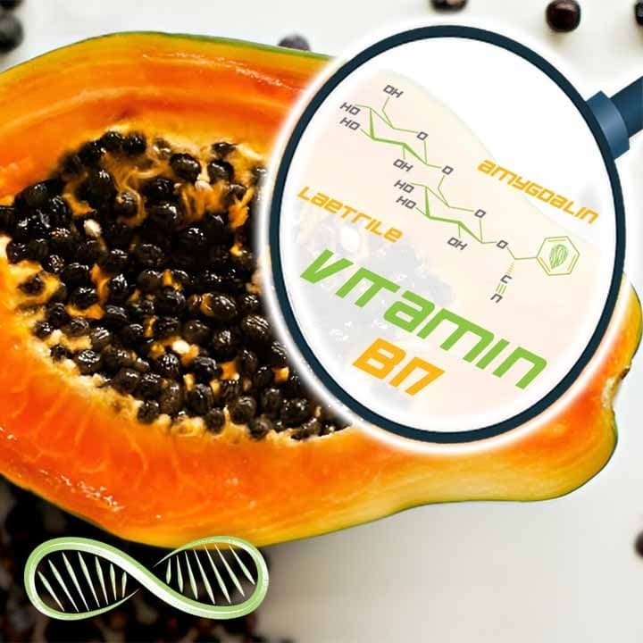 Vitamin B17: The "vitamin" you are NOT ALLOWED to take?