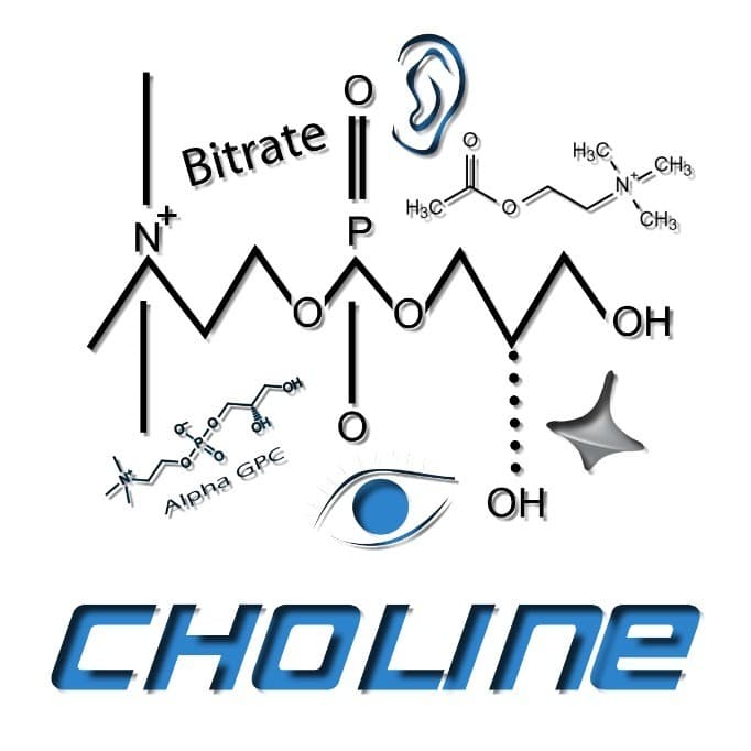 Choline vs Alpha GPC: Smart Drugs of Many Talents That EVERY Brain Needs