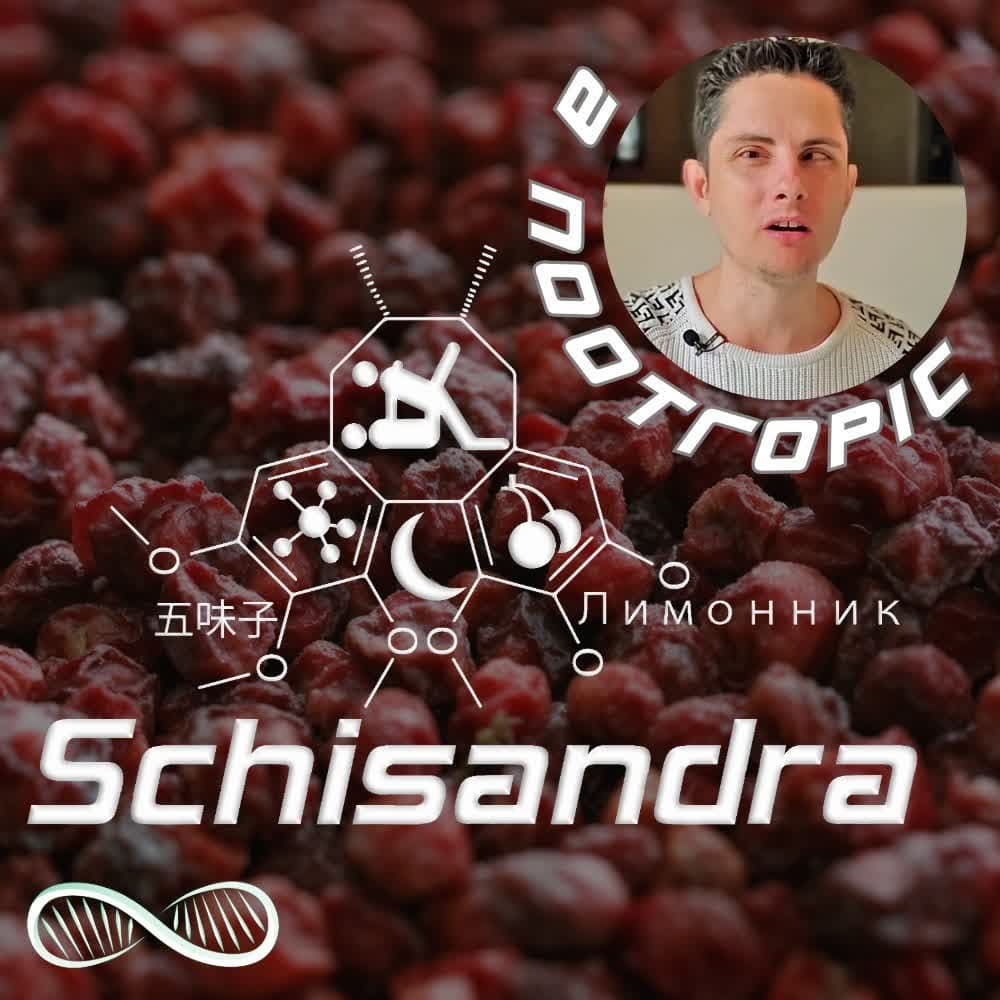 Schisandra Chinensis 🉐 Traditional Chinese Medicine's Nootropic for Hacking Yin and Yang