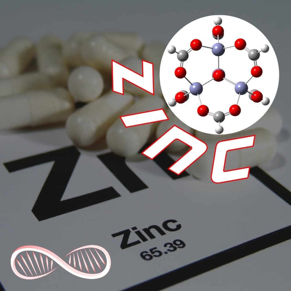 Zinc: The Empirical Optimization Protocol for Neuroplasticity