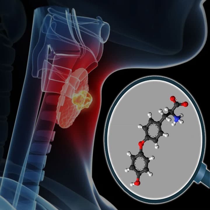 Thyronine "T2" 🔬 Top 9 Benefits of this Thyroid Biohack