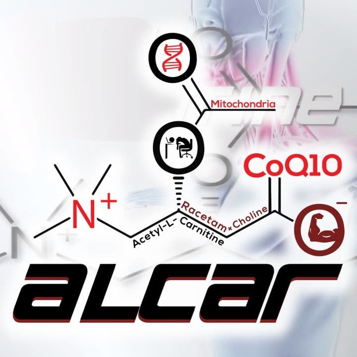 ALCAR: Mitochondria-Empowering Anti-Aging Nootropic for Biohacking Hepatic Encephalopathy & More