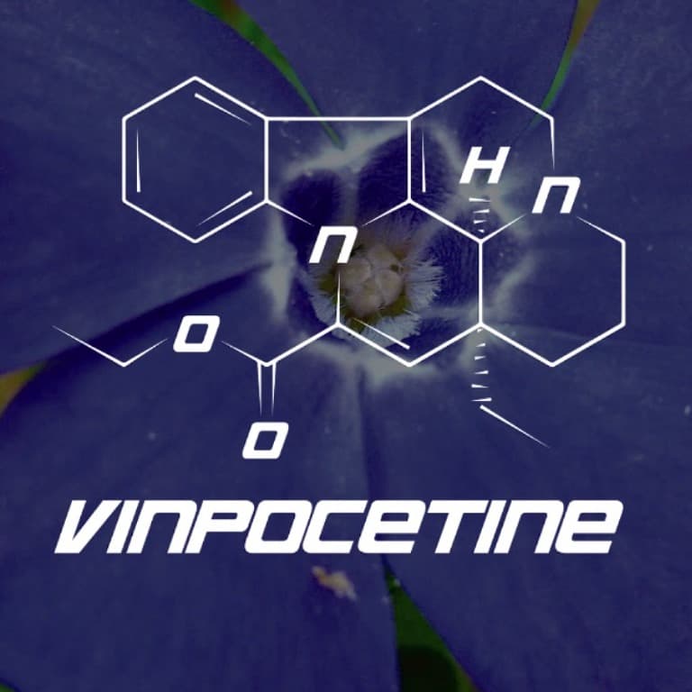 Vinpocetine: A vasodilating nutraceutical (and negative Nootropic for some...)