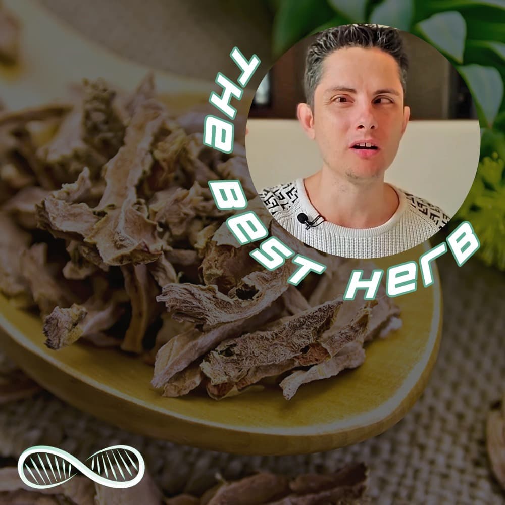 Rhodiola: the High Performance Biohacker’s Herb
