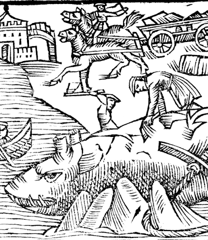 #231 Vie et mort de l'océan