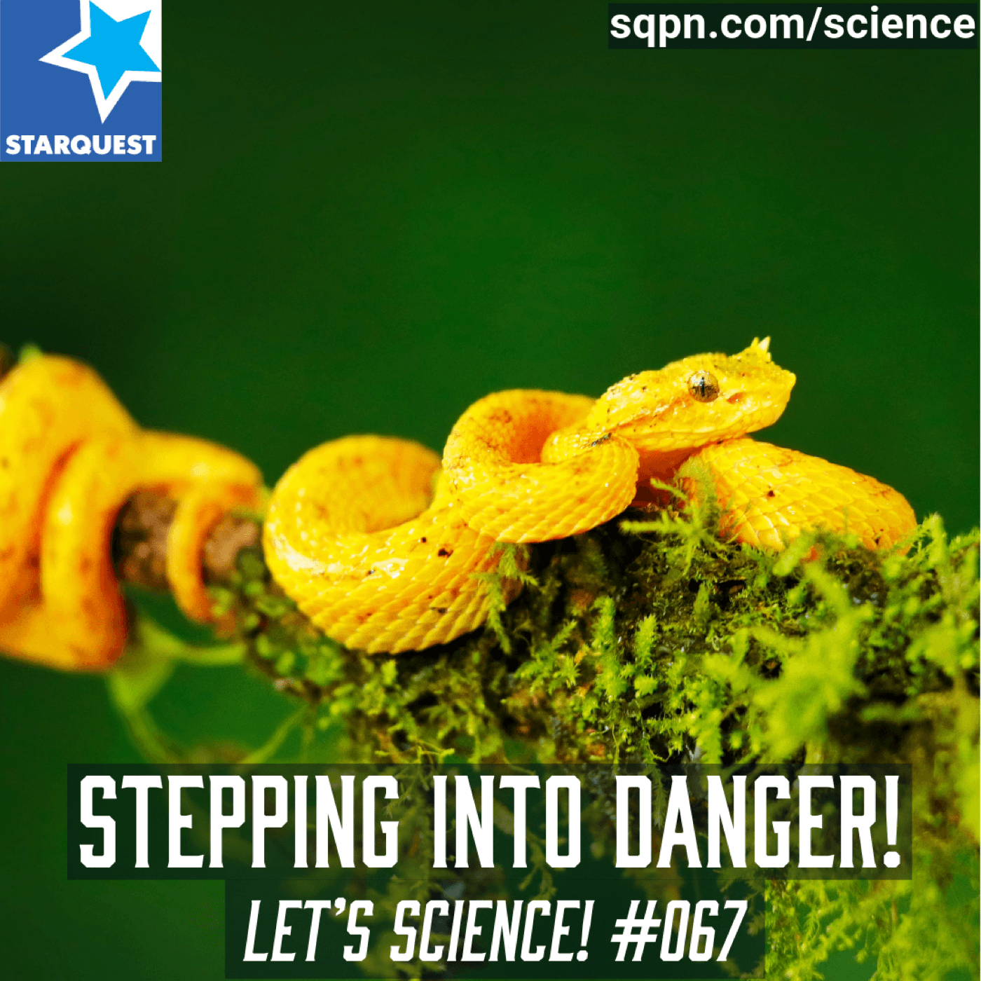 Stepping into Danger: The Scientist Who Danced with Deadly Snakes to Save Lives