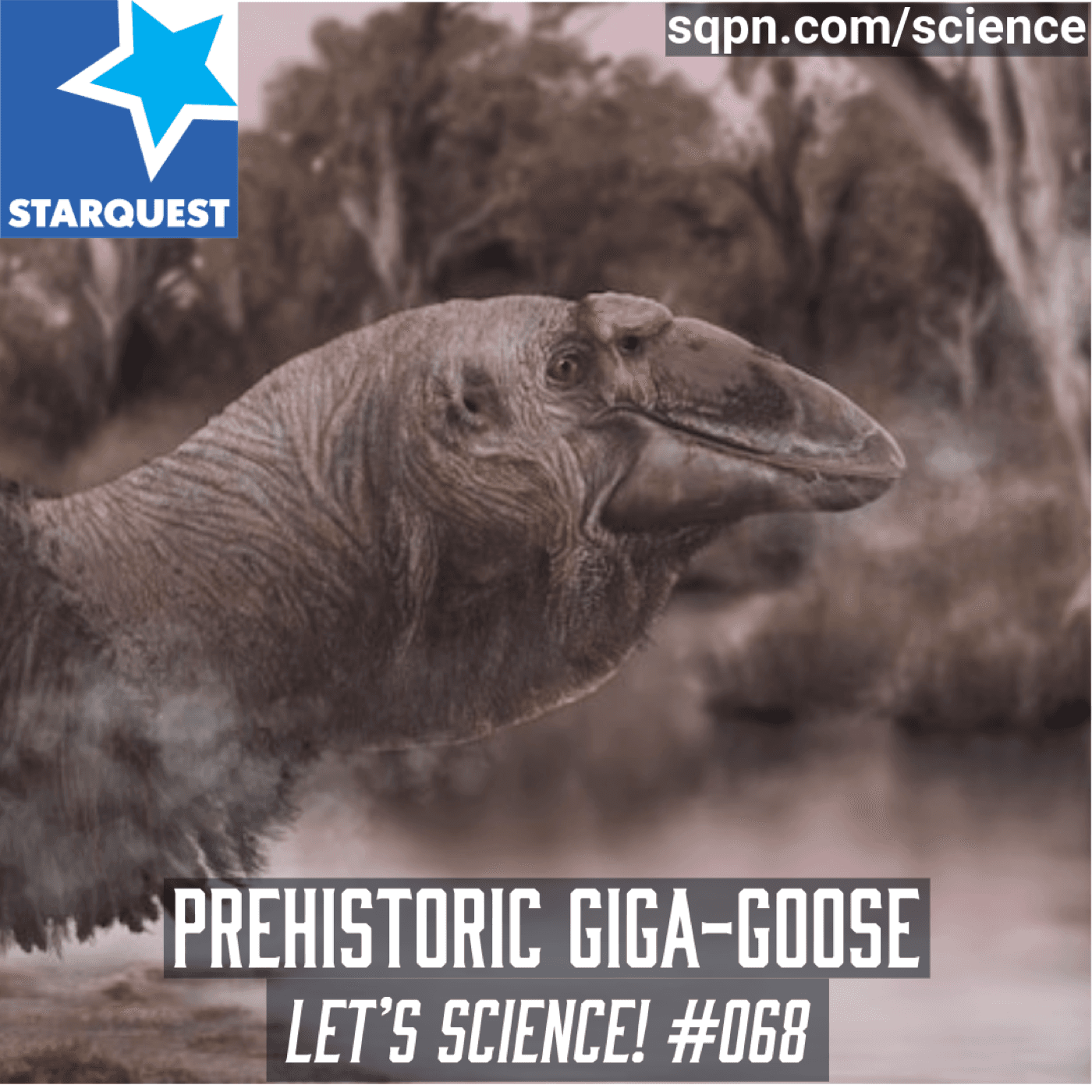 Australia’s Prehistoric Giga-Goose