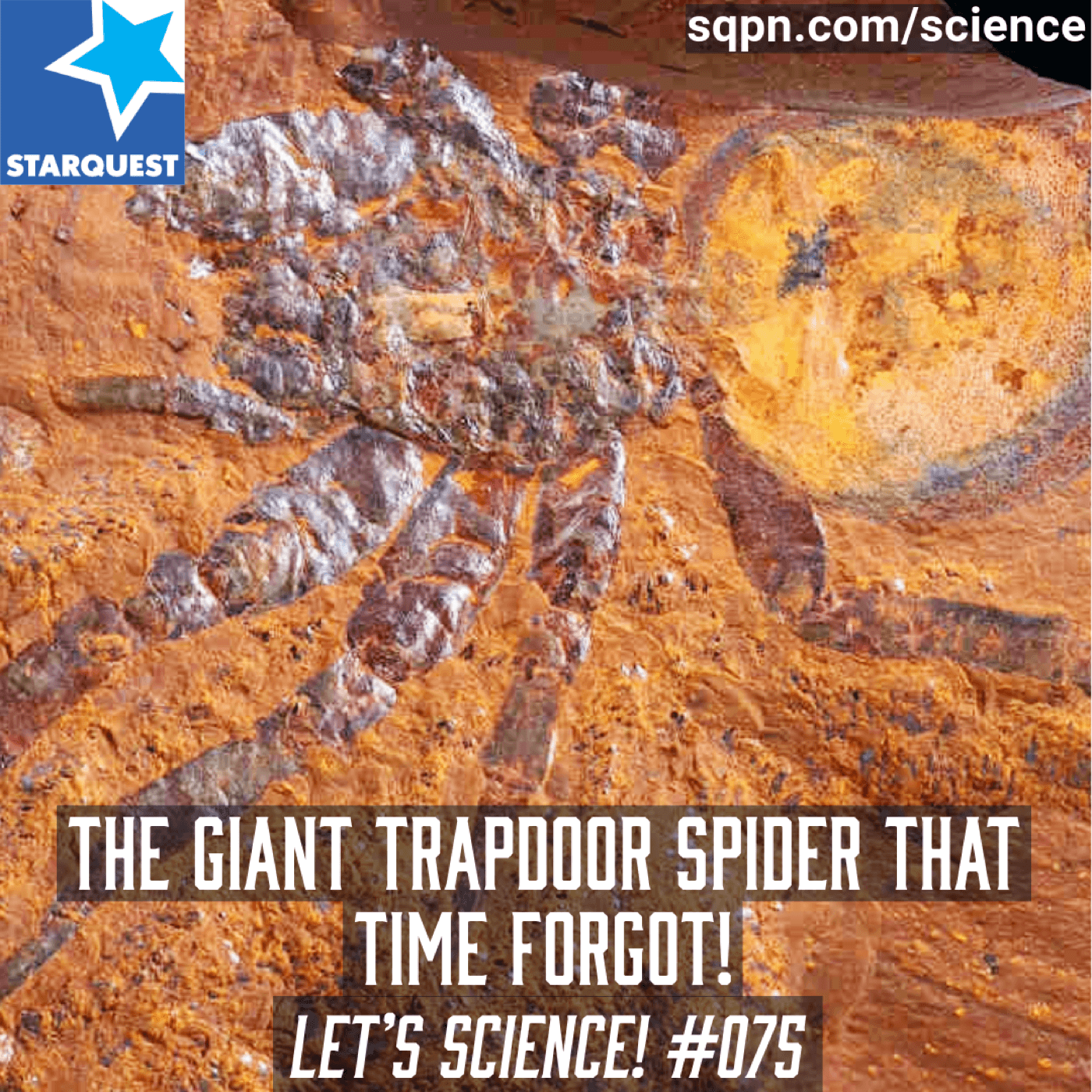 The Giant Trapdoor Spider That Time Forgot!