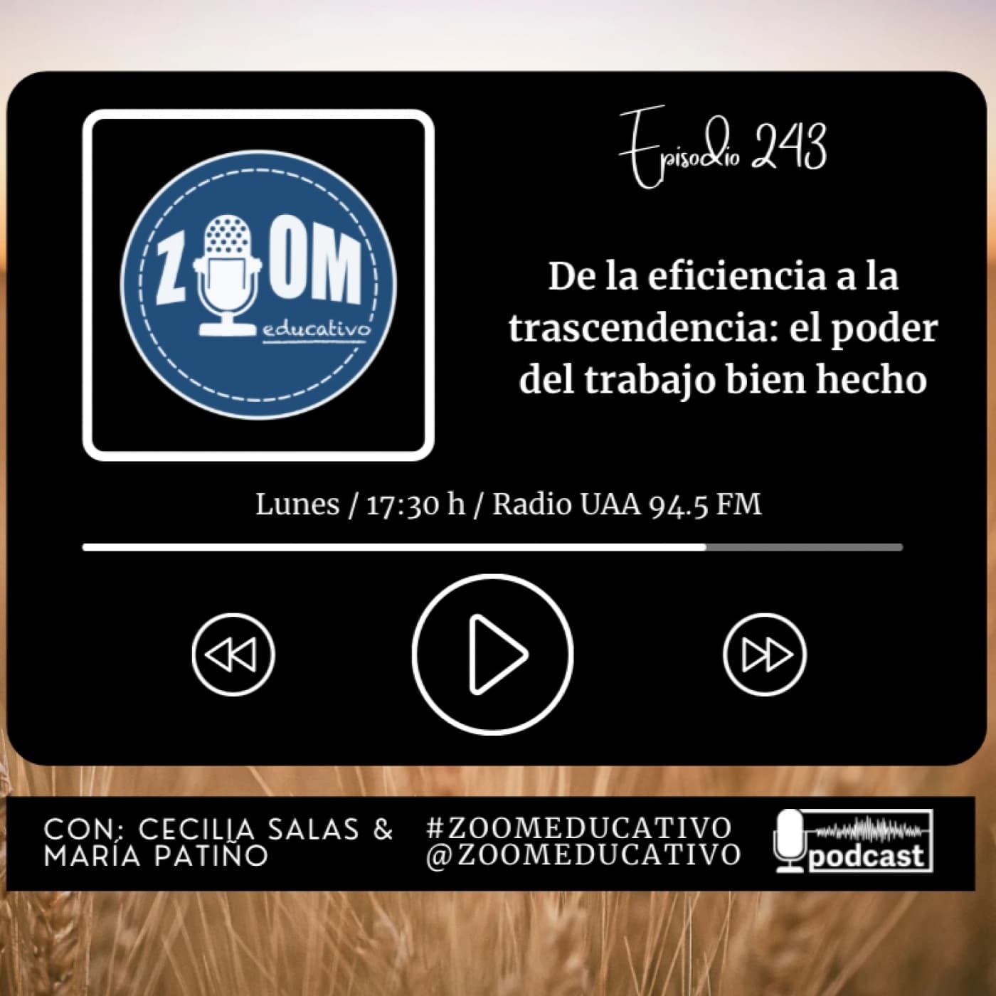 Ep 243 De la eficiencia a la trascendencia: el poder del trabajo bien hecho