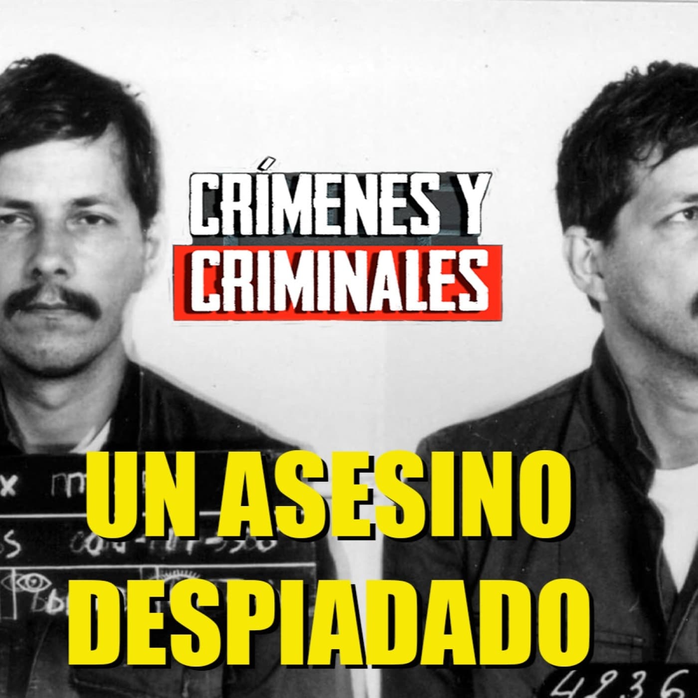 Un asesino despiadado, Marc Dutroux