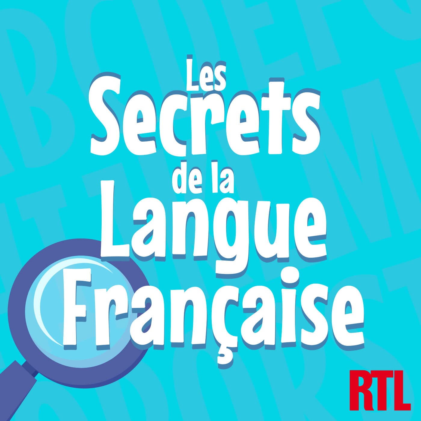 Orthographe : faut-il écrire "des ovni" ou "des ovnis" au pluriel ? 