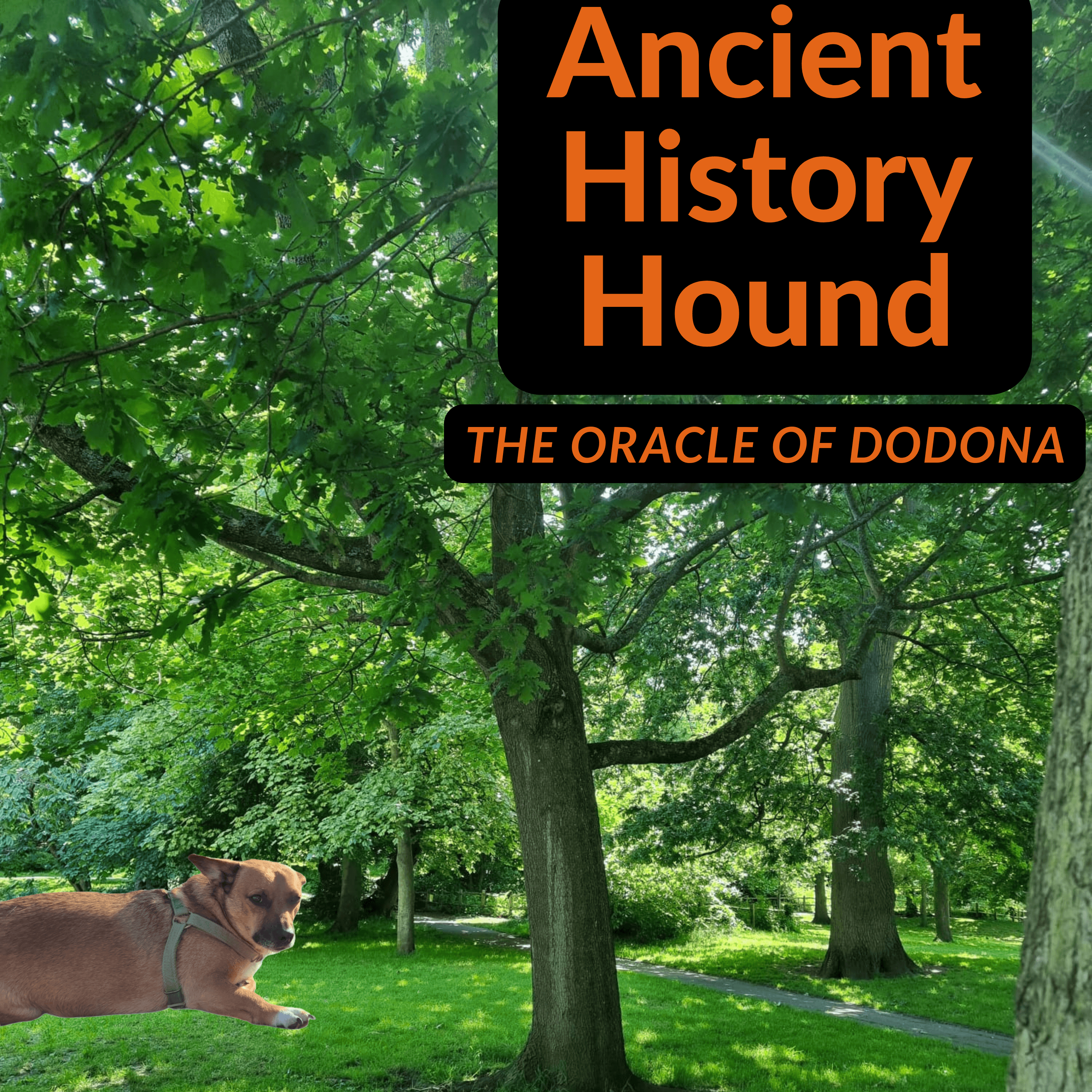 The Oracle of Dodona.
