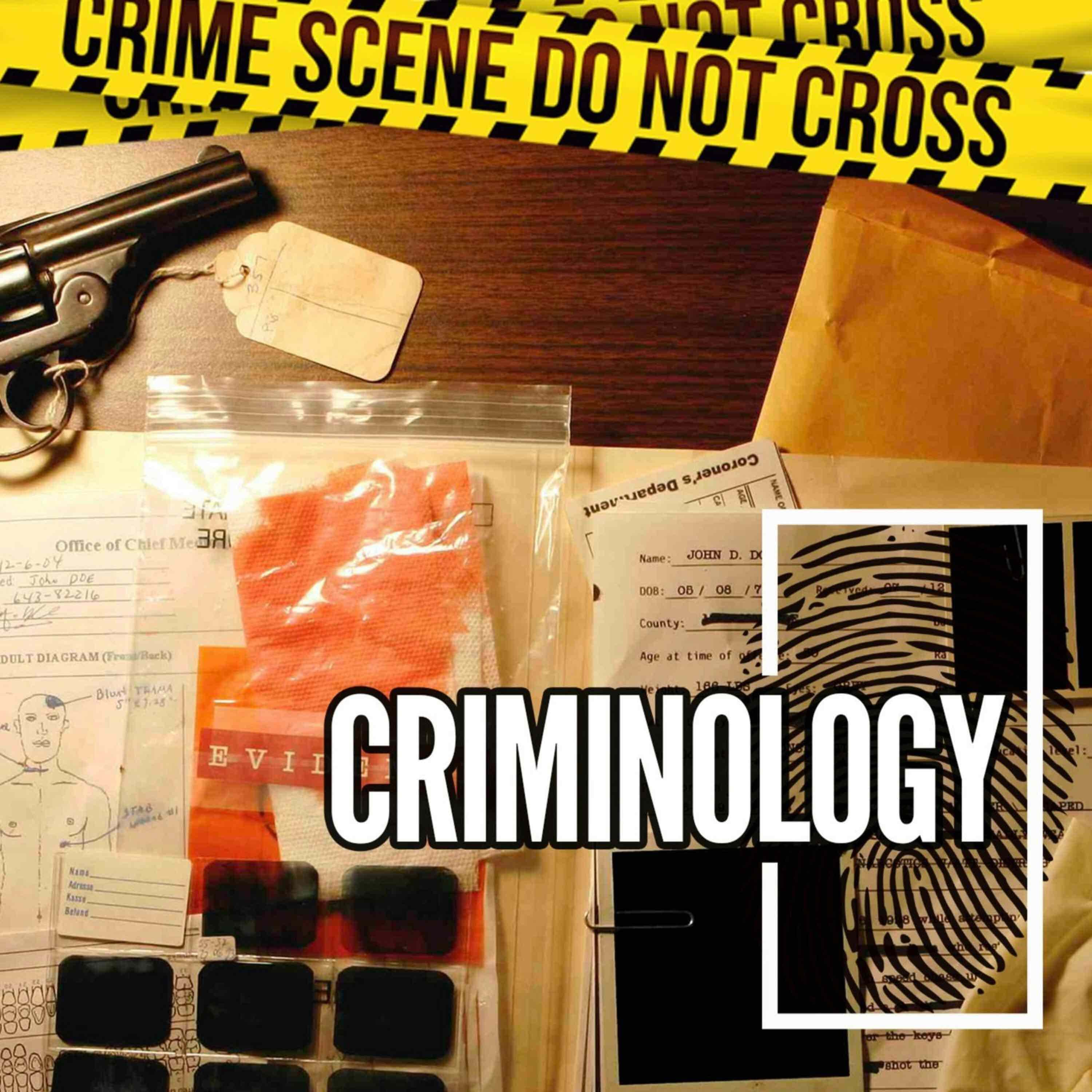 The Suitcase Murder