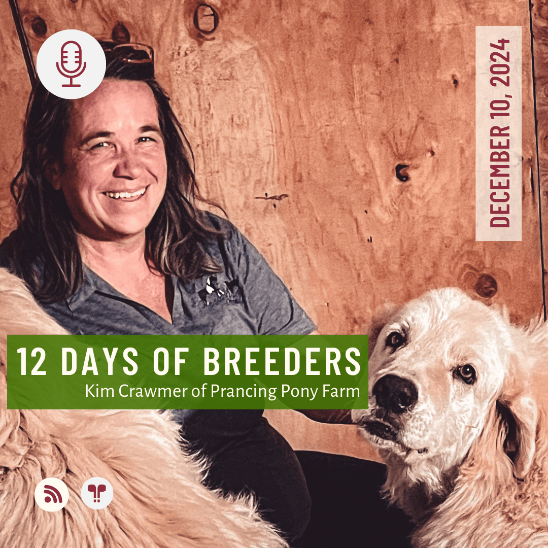 12 Days of Breeders #08 - Kim Crawmer of Prancing Pony Maremmas