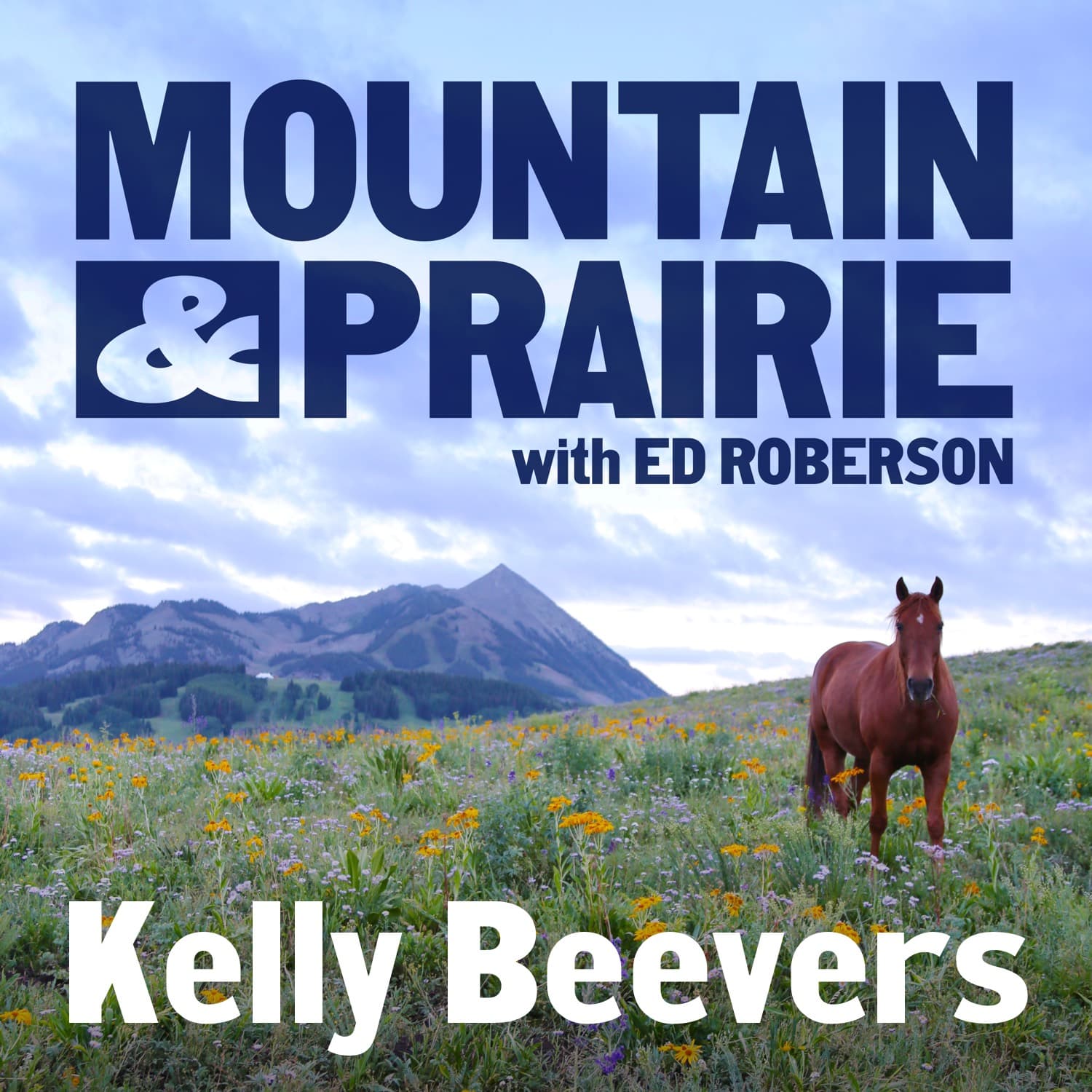 Kelly Beevers – Connection, Collaboration, Conservation