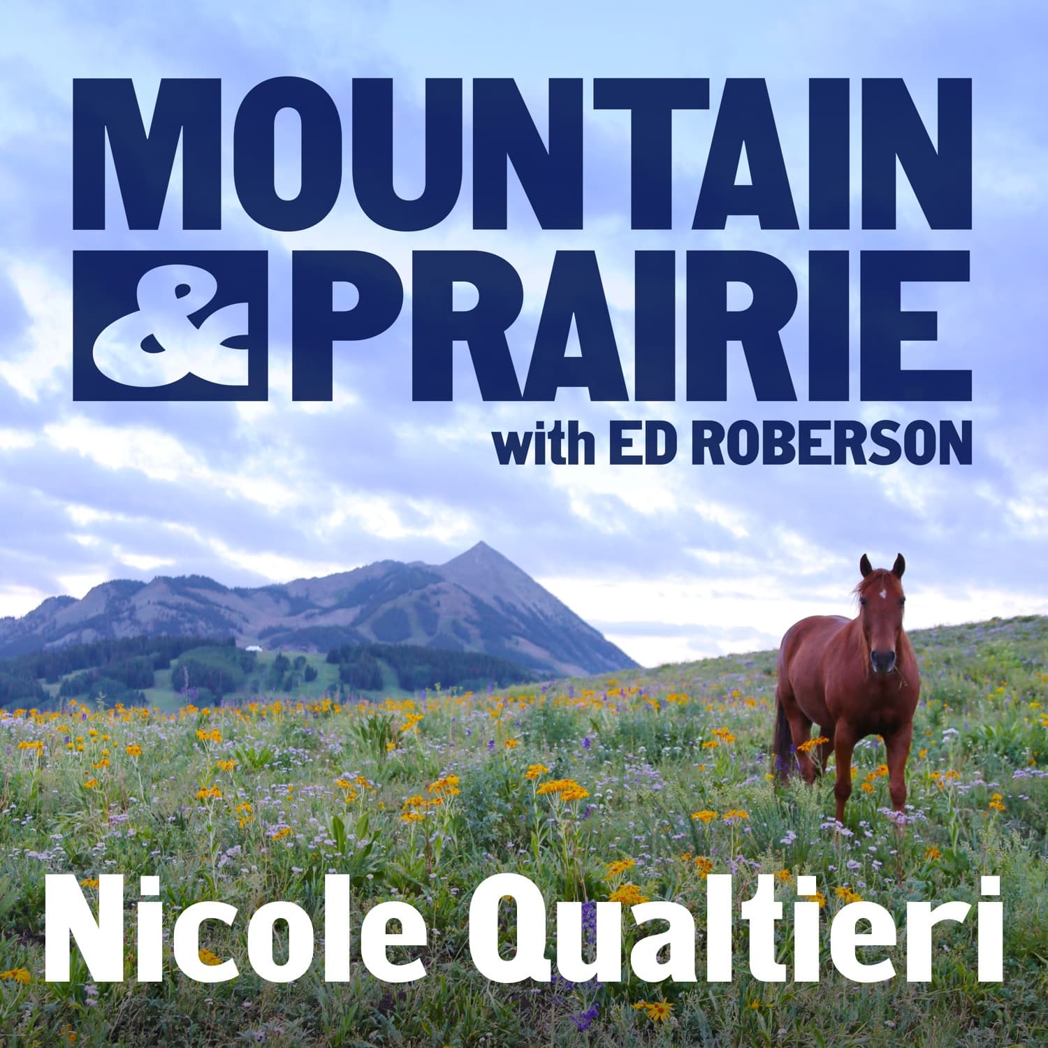 Nicole Qualtieri - Charting a New Course in the Changing Landscape of Outdoor Media