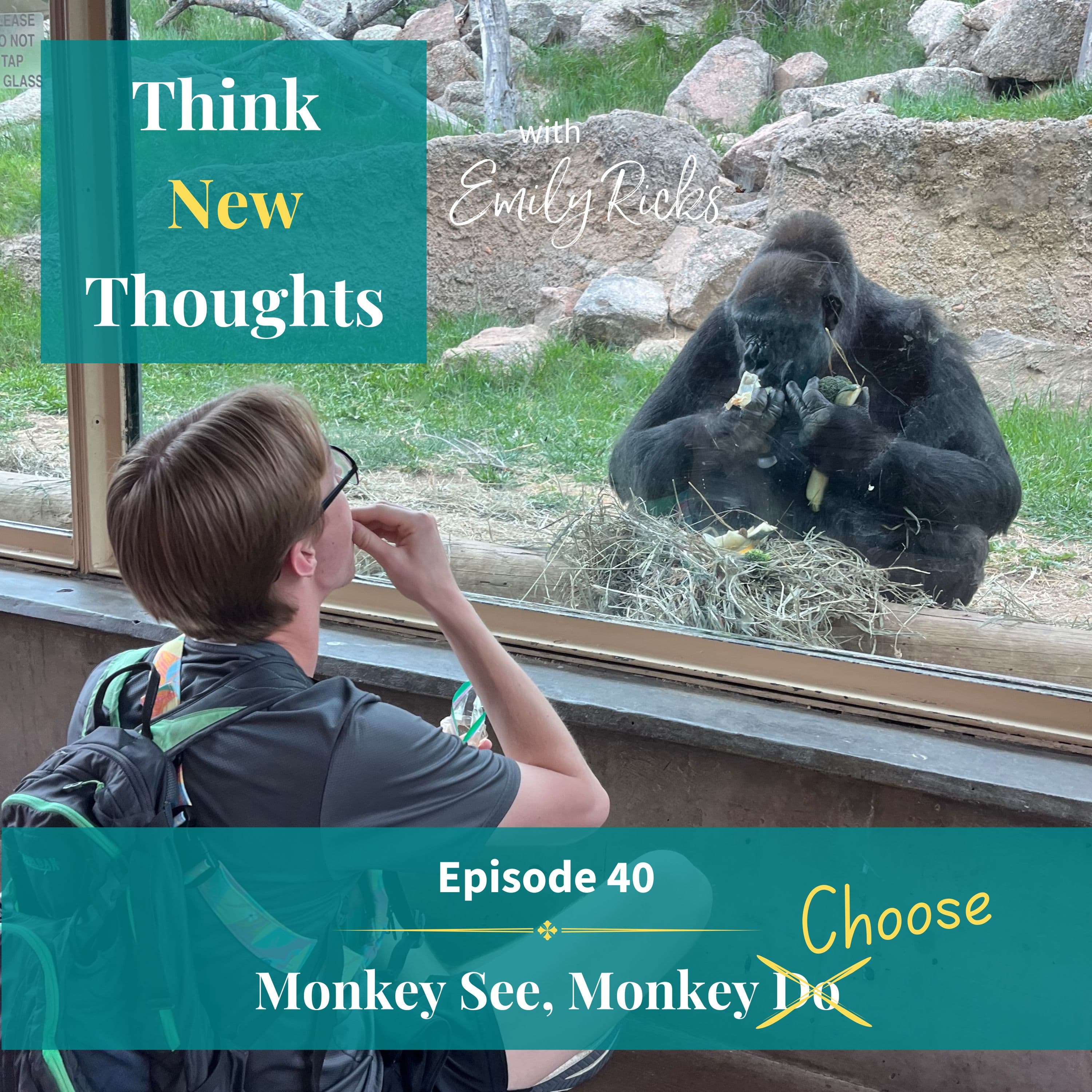Ep 40: Monkey See, Monkey...Choose