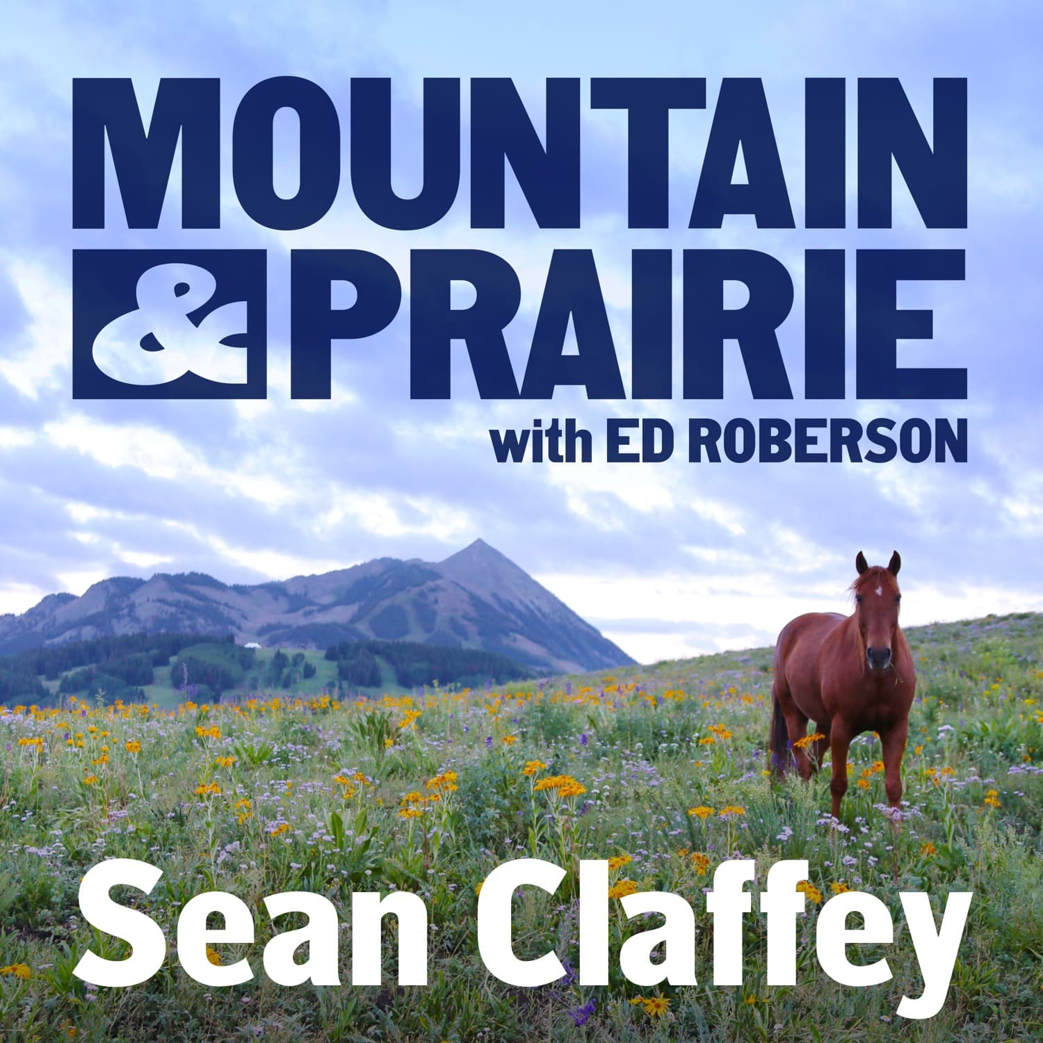 Sean Claffey – A Resilient Vision for Sagebrush Country