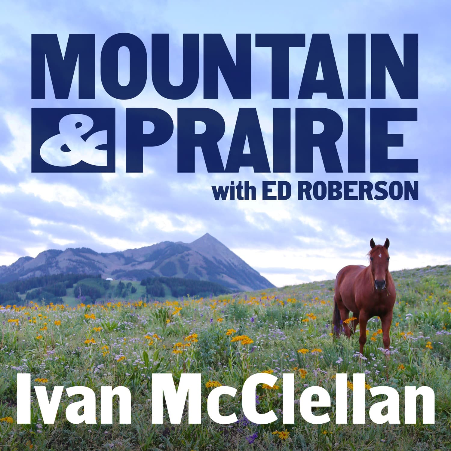 Ivan McClellan Returns - From Behind the Lens to Center of the Arena