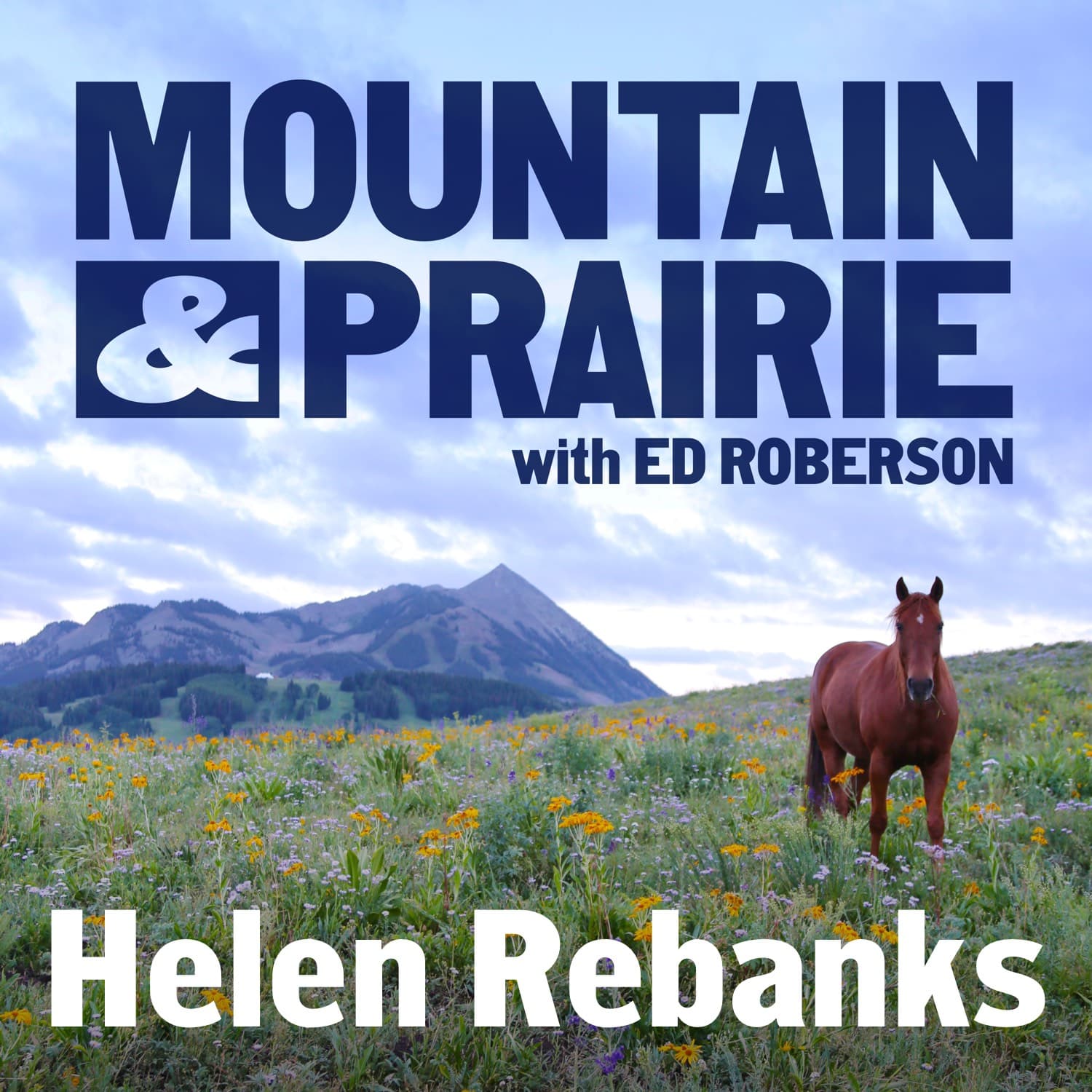 Helen Rebanks - "The Farmer's Wife" - Live at the Old Salt Festival