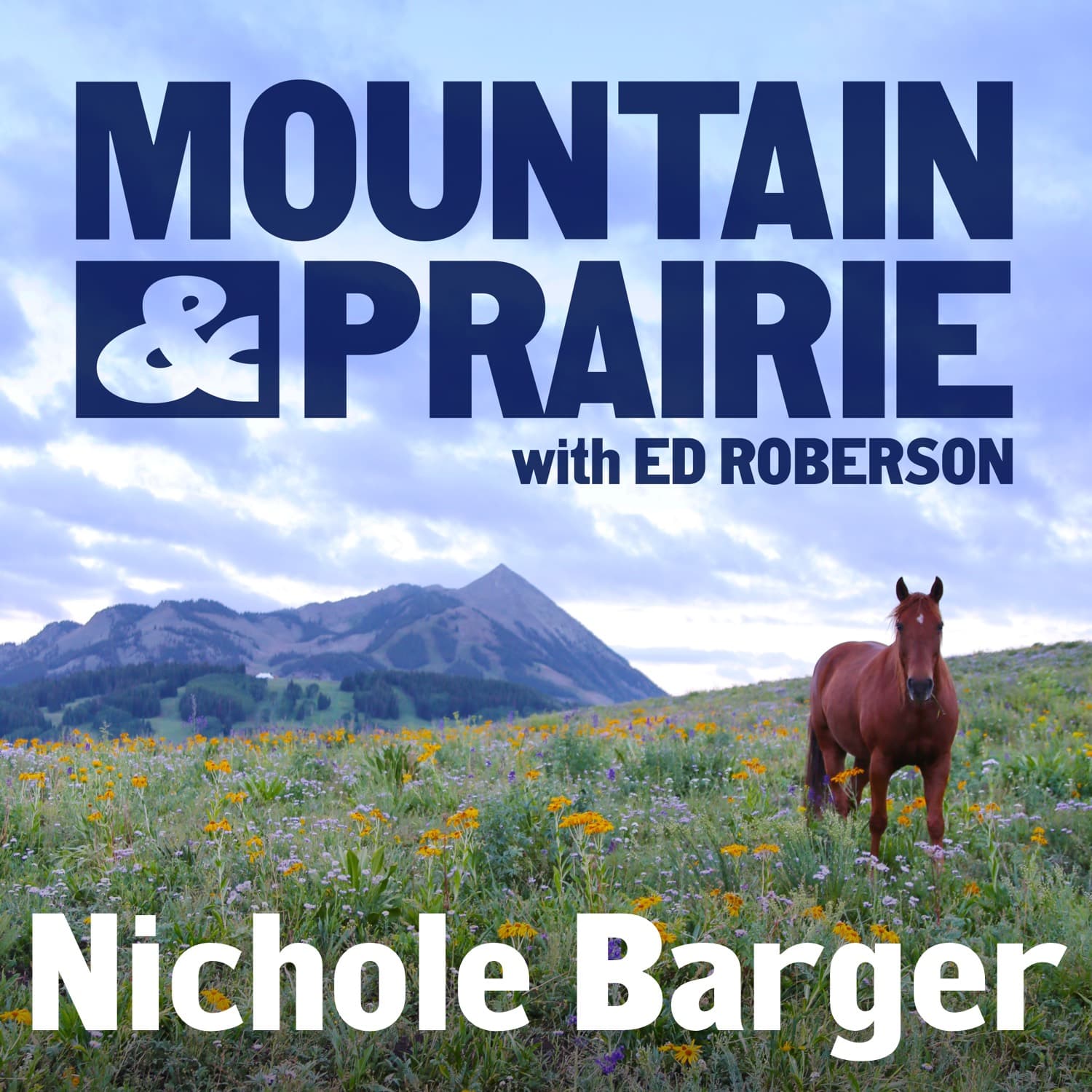 Nichole Barger – Science as a Catalyst for Human Connection