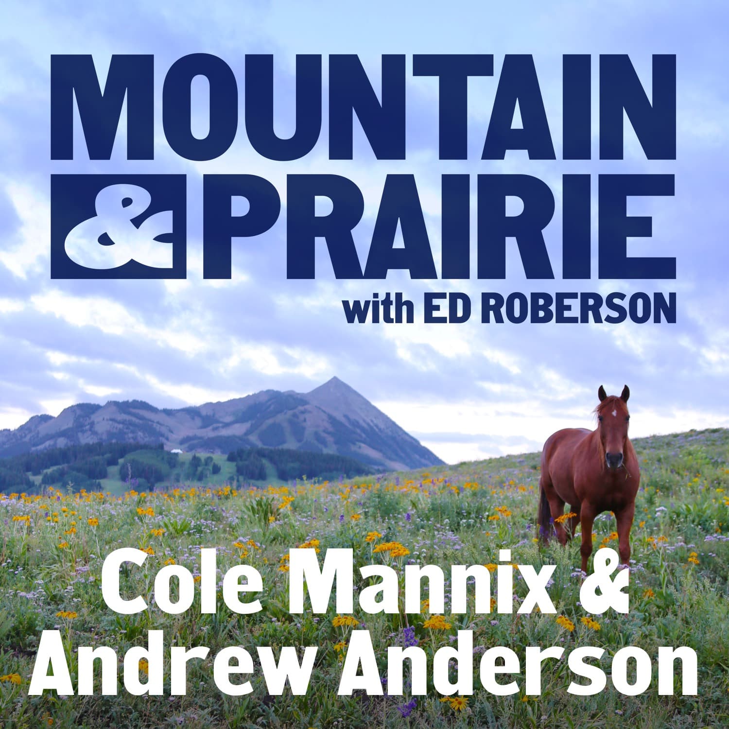Cole Mannix & Andrew Anderson – The Hard Work of Building a Better Food System