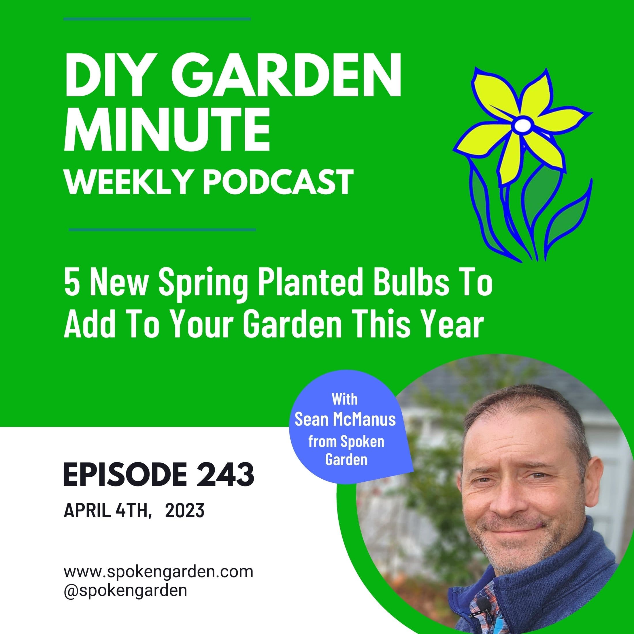 5 New Spring Planted Bulbs To Add To Your Garden This Year - DIY Garden Minute