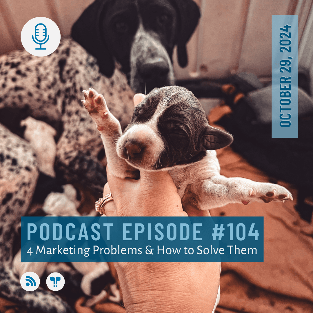 #104 - 4 Marketing Struggles & What You Can Do About Them