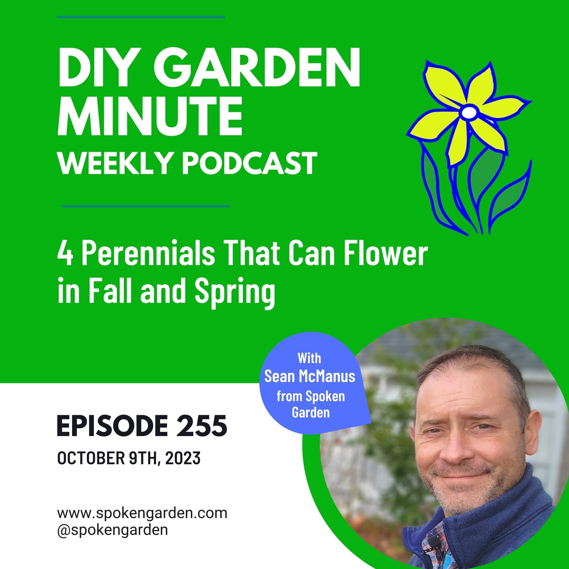 4 Perennials That Can Flower in Fall and Spring - DIY Garden Minute