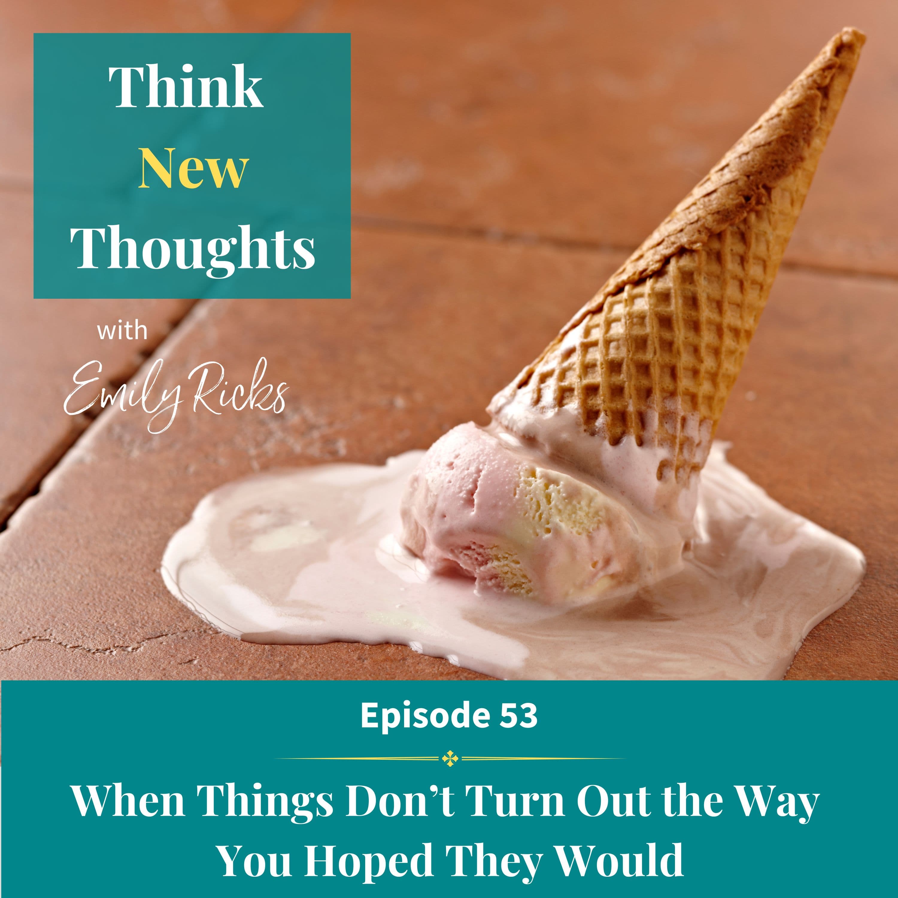 Ep 53: When Things Don't Go the Way You Hoped They Would
