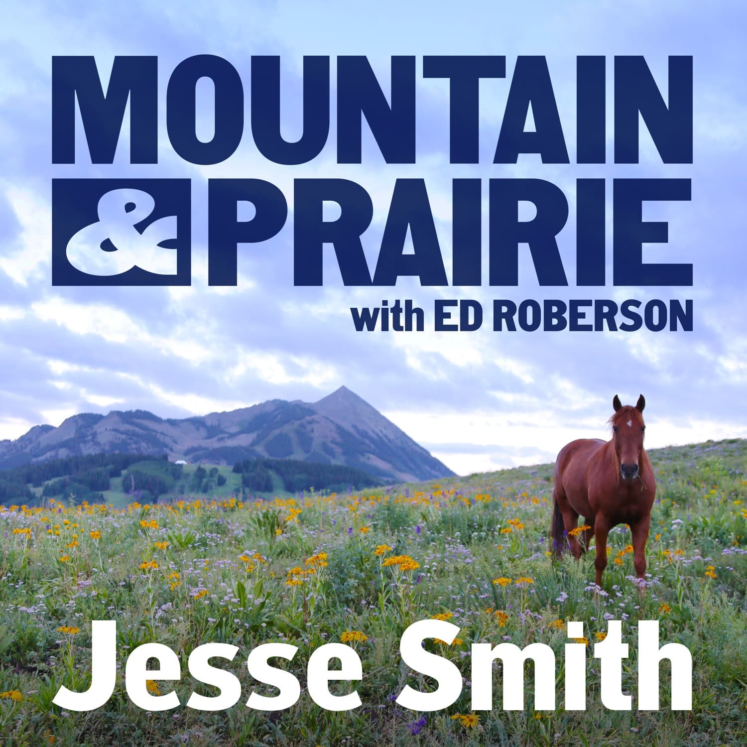 Jesse Smith – A Regenerative Approach to Land and Life